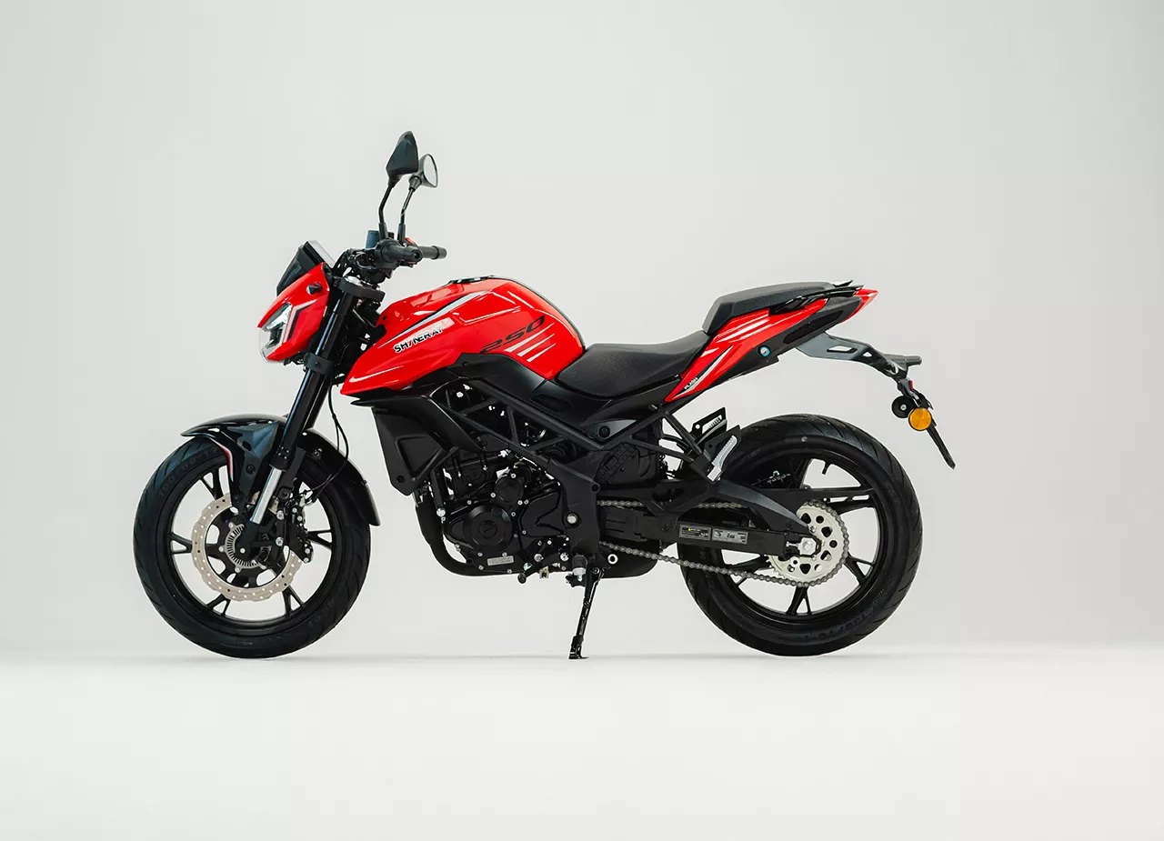 FLASH 250F - Imagem 2