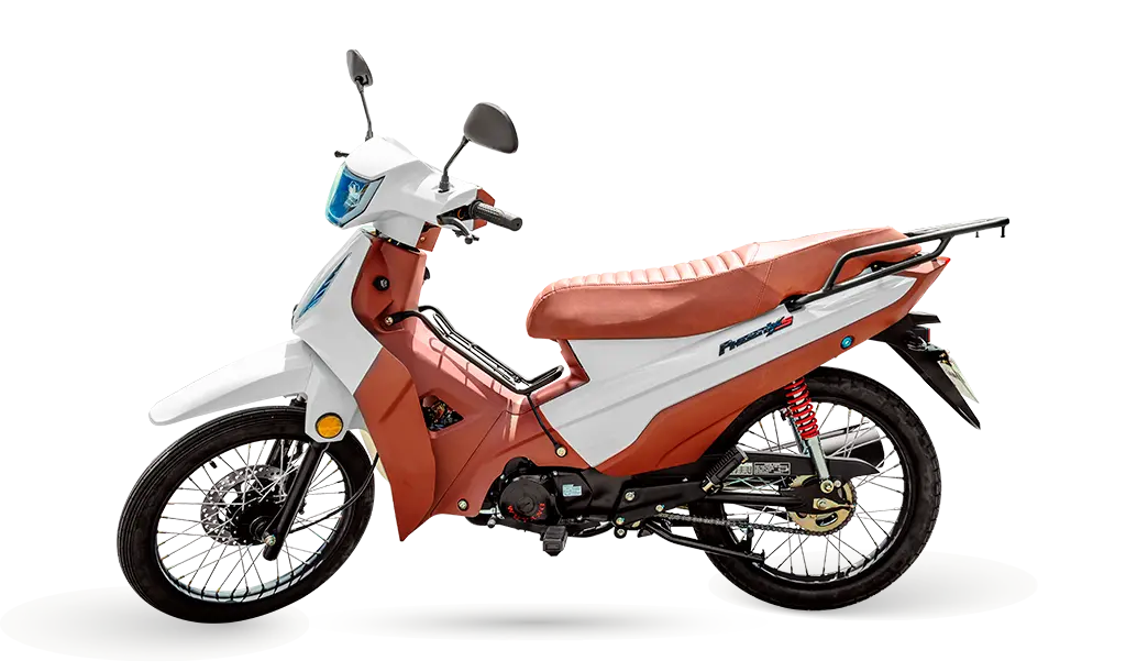 PHOENIX S - Imagem 3