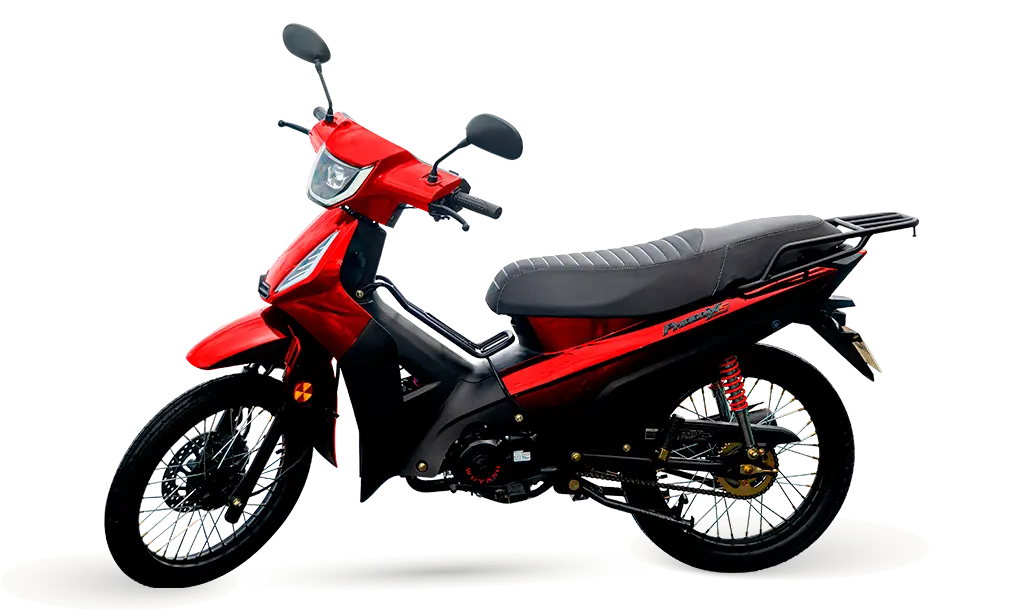 PHOENIX S - Imagem 5