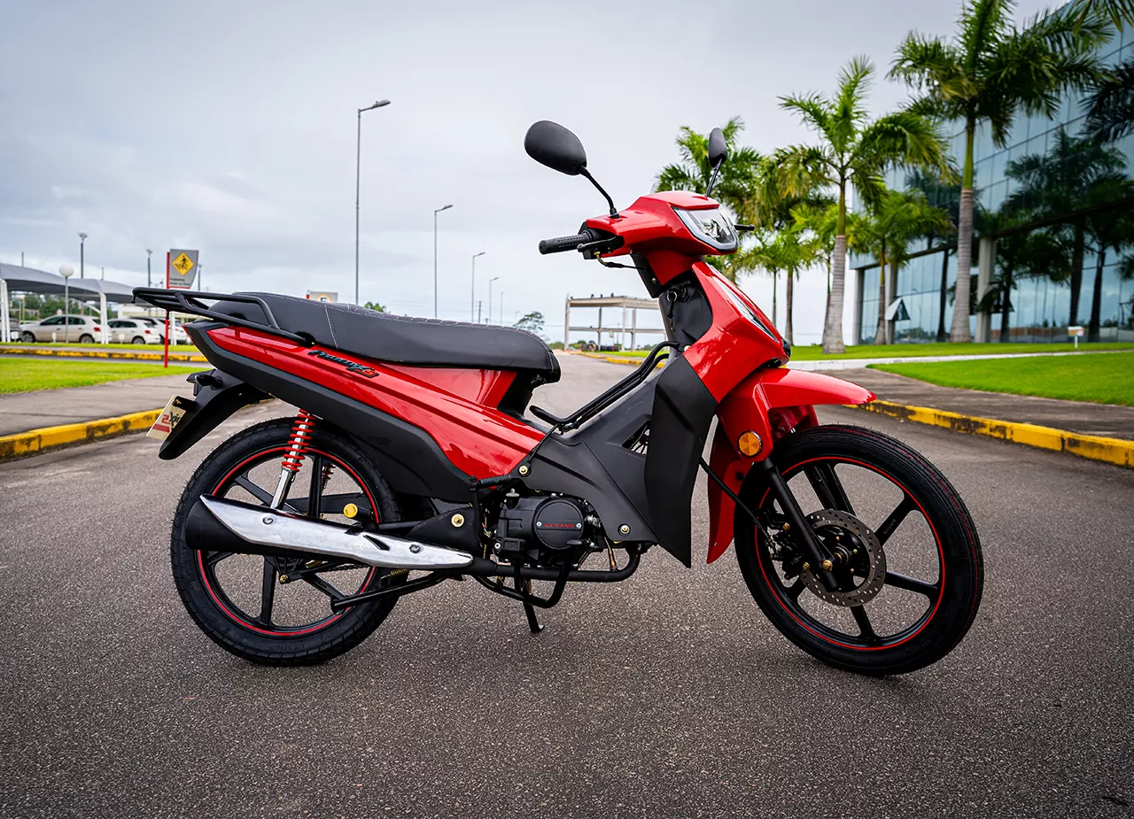 PHOENIX S EFI - Imagem 3